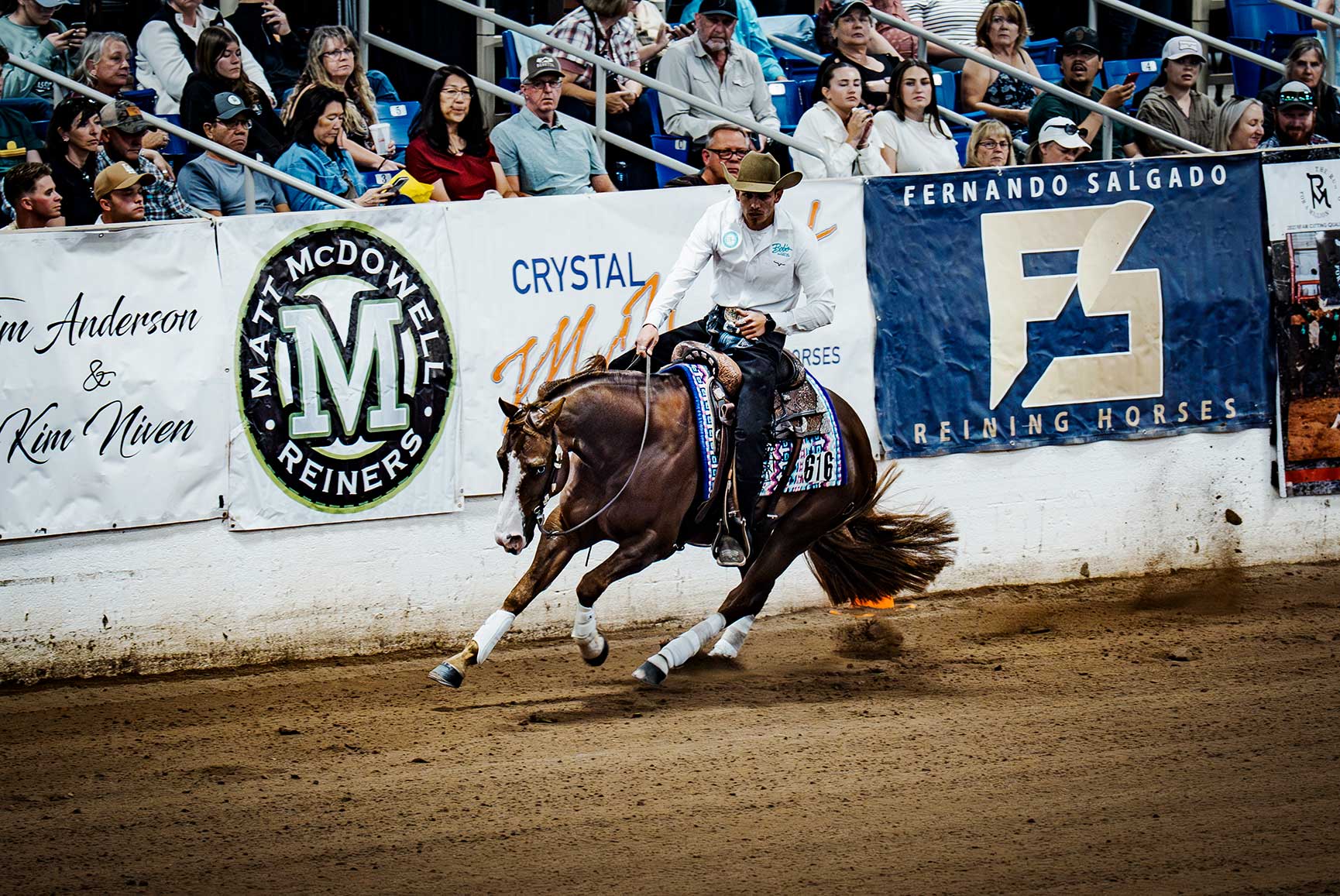THE LAST COWBOY, cactus reining classic