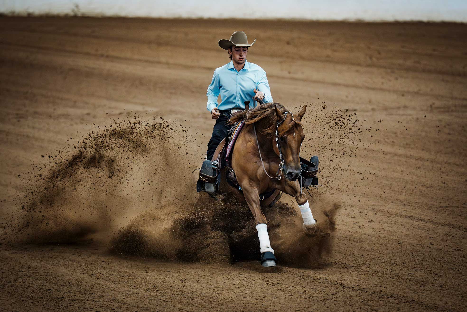 THE LAST COWBOY, cactus reining classic