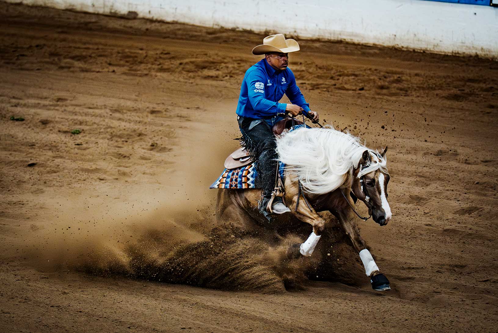 THE LAST COWBOY, cactus reining classic